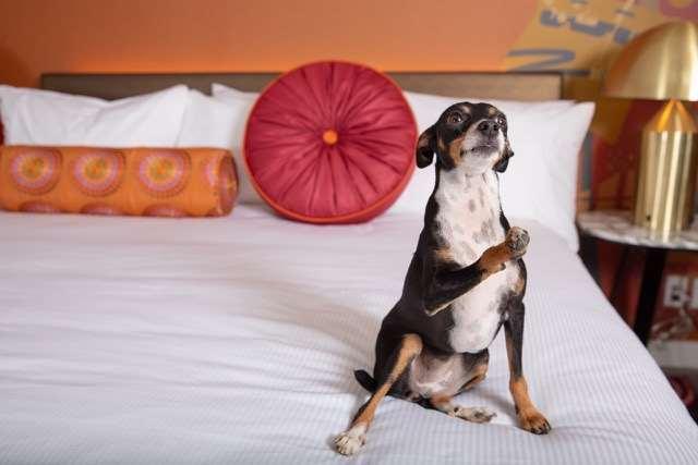 Versante Hotel リッチモンド 設備 写真